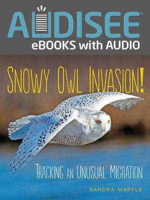 cover image of Snowy Owl Invasion!